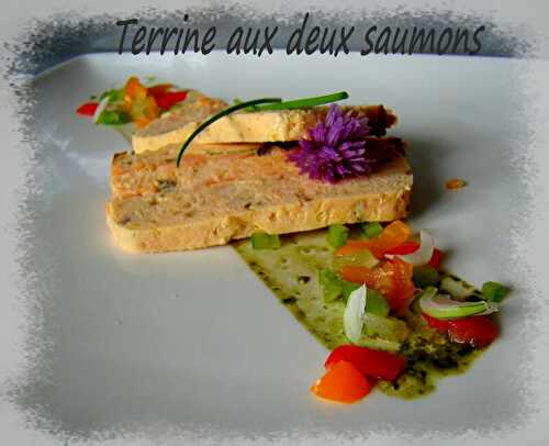 Terrine fraiche aux deux saumons