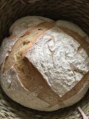 Boule de campagne au cumin et à la bière