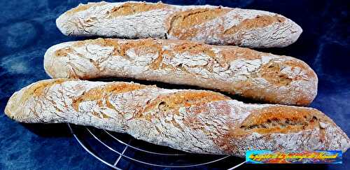 Baguettes paysannes aux graines