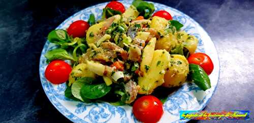 Salade de harengs