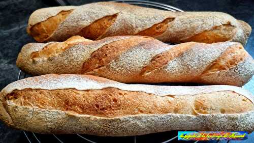 Baguettes à la levure fermentation longue