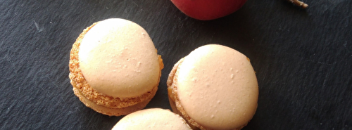 Macarons abricot-romarin