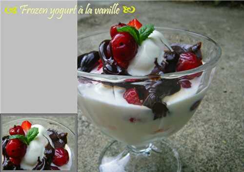 Frozen yogurt à la vanille, fruits frais et sauce au chocolat