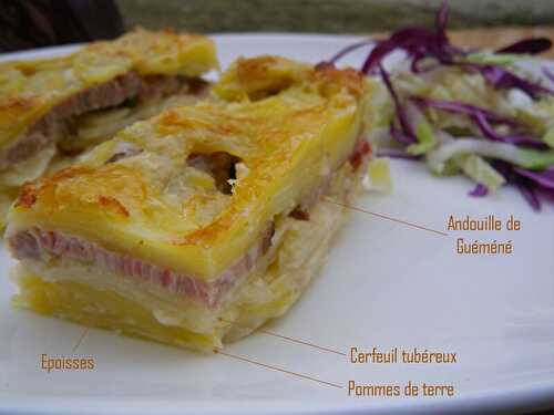 Gratin de pommes de terre, cerfeuil tubéreux, andouille de Guéméné et Epoisses