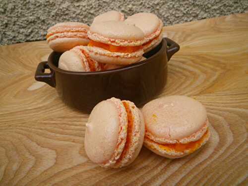 Macarons au potimarron et gingembre