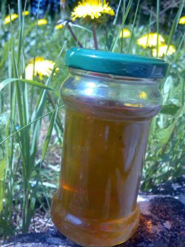 Miel de fleurs de pissenlits (confiture ou gelée)