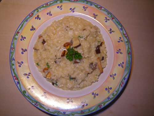 Risotto aux cèpes et aux girolles