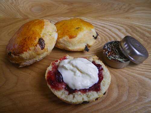 Véritables scones traditionnels anglais et méthode pour faire de la clotted cream