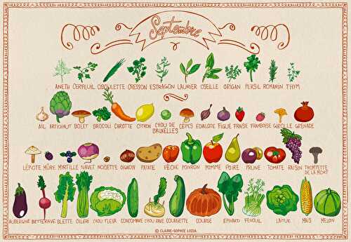 Les fruits et légumes de Septembre