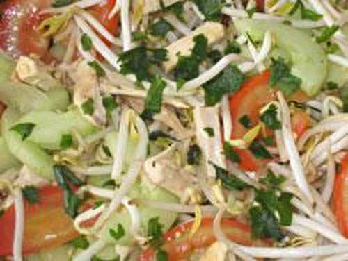 Salade de poulet aux germes de soja et à la coriandre - La table de Vio