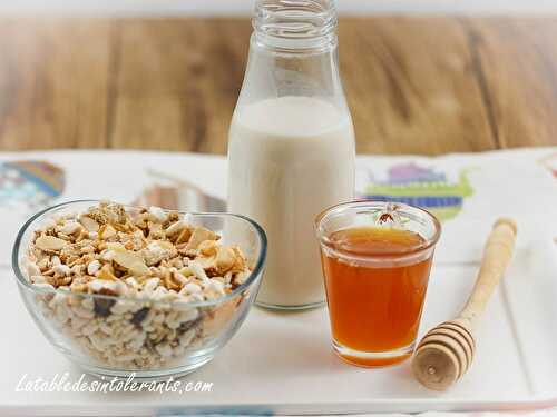 CÉRÉALES GOURMANDES AUX FRUITS SECS ET OLÉAGINEUX  sans gluten ni lait ni sucre, avec ou sans levure