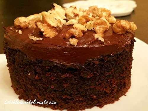 GÂTEAU NÉO-ZÉLANDAIS CHOCOLAT COURGETTE COMME "AU BAKER'S CAFÉ" sans gluten ni lait, avec ou sans sucre, sans levure