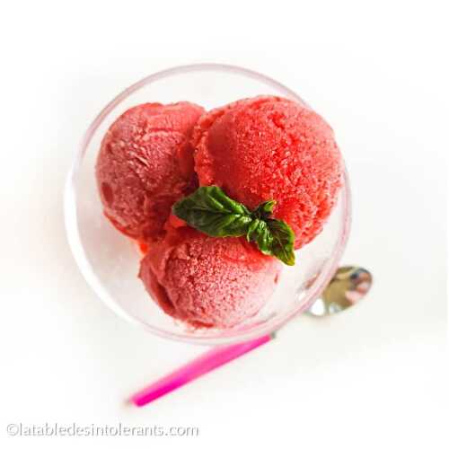 SORBET FRAISE avec ou sans sucre, sans œuf