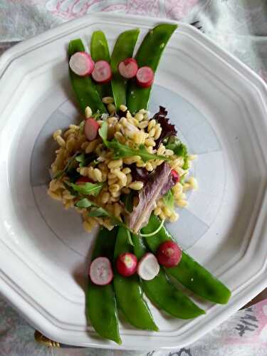 Salade craquante de printemps