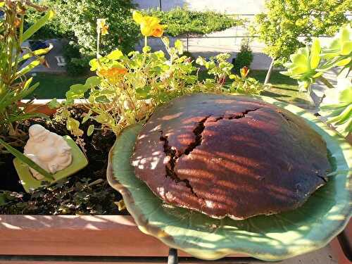 Gâteau au cacao et à la farine de pois chiche!