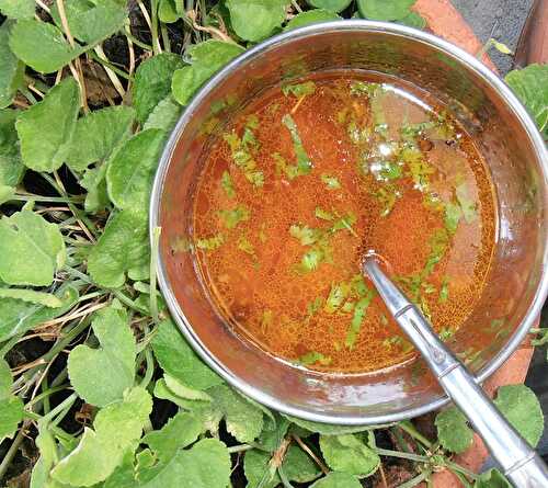 Petite soupe indienne au petit lait et aux épices