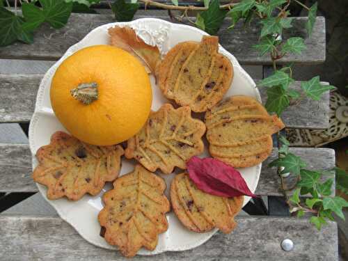 Petits cakes à la citrouille, aux épices et au chocolat