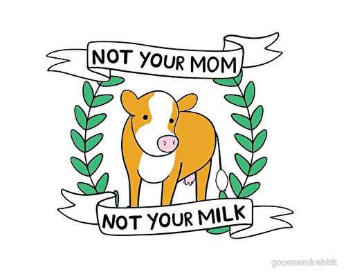 Pourquoi le lait c'est cruel