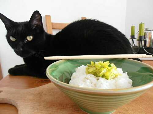 Riz à la fondue de poireaux