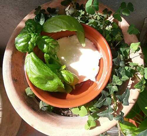 Tomates, fromage frais et basilic