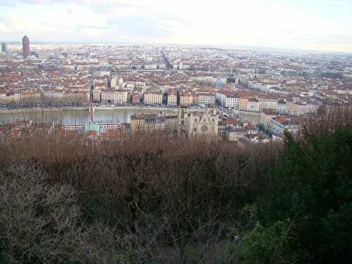 Une Valkyrie à Lyon