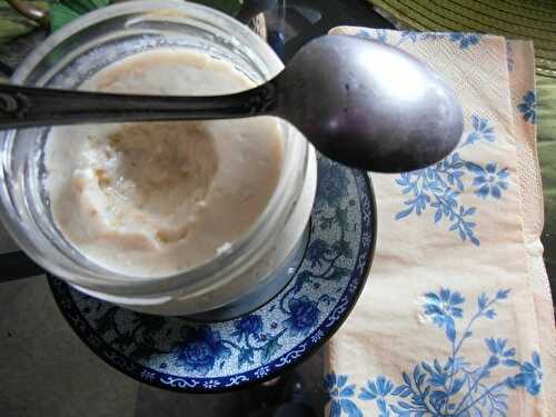 Yaourt à la crème d'endive / yaourt à la rhubarbe