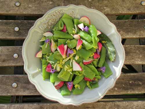 Salade tiède de haricots plats