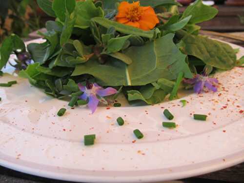 Encore des plantes à manger!