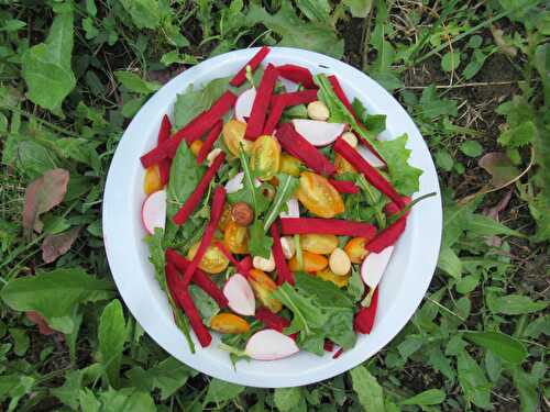 Salade du jardin (de ma copine Carole) - La Valkyrie Végétarienne