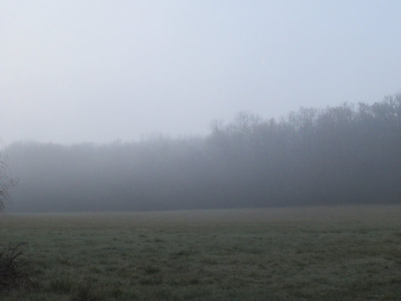 Ambiance black metal norvégien