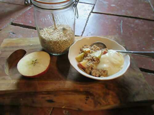 Porridge d'automne: pomme - cannelle - vanille