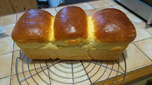 Brioche bien gonflée et super moelleuse