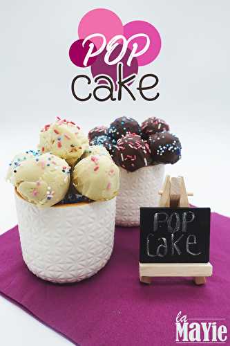 Pop Cake aux 2 chocolats