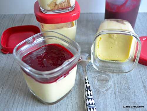 Cheesecakes au coulis de framboise à la Multidélice