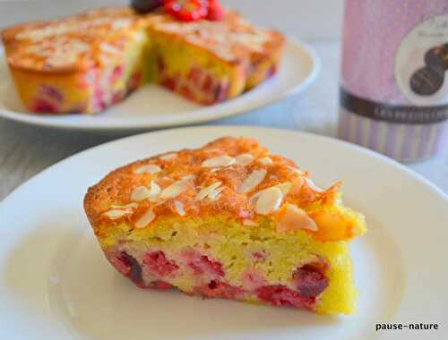 Fondant rapide aux fruits rouges et amandes