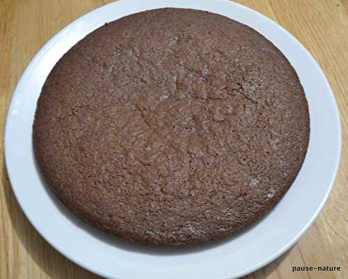 Gâteau au chocolat à la butternut et fève tonka (sans beurre)