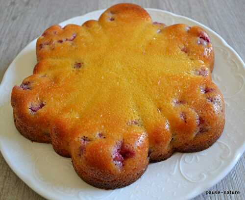 Gâteau simple et rapide aux cerises