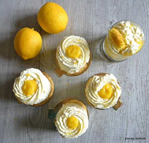 Gâteaux individuel coco-citron comme un layer cake -   le blog culinaire pause-nature 