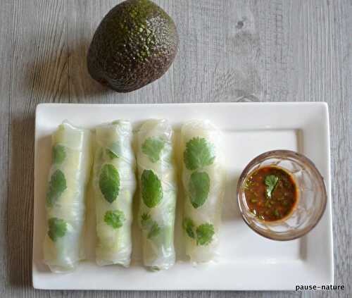 Rouleaux de printemps avocat-concombre-pomme