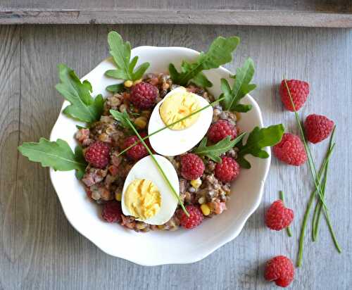 Salade de lentilles 3 couleurs aux légumes et framboises