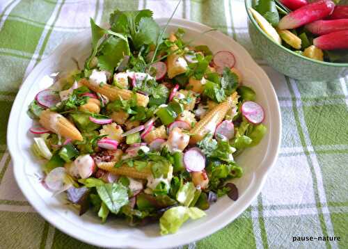 Salade de quinoa rouge-pois chiche à la sauce sucrée-salée