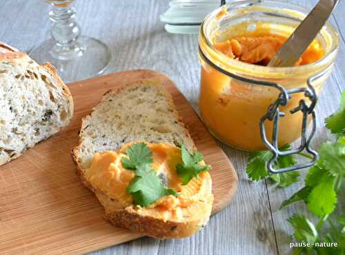 Tartinade de lentilles corail et carottes