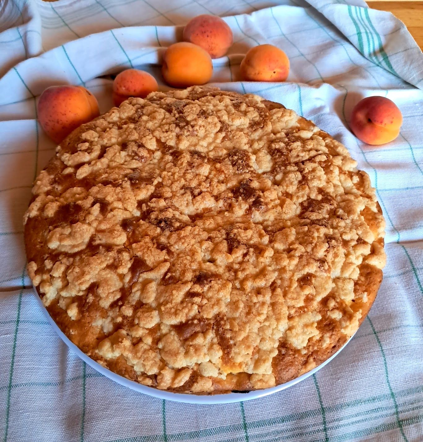 Placek aux abricots 