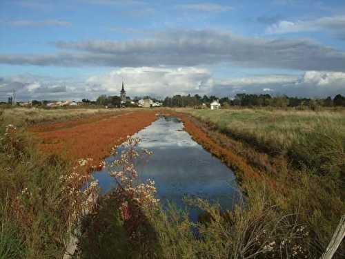 A fleur de sel...