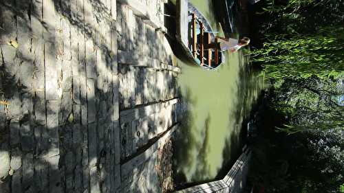 Au fil de l'eau...Maillezais et son cœur de verdure