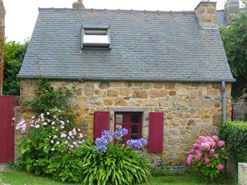 Défi : associer mes créations à des fleurs ou un paysage pendant 7 jours : Nouvelle création !