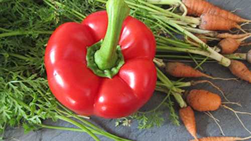 Duo de carottes poivron sur son feuillage de fanes de carottes