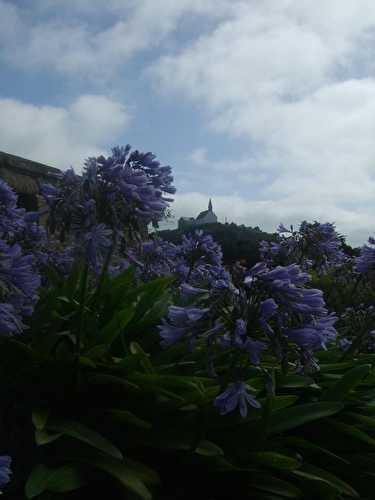 L'île aux Fleurs...Bréhat