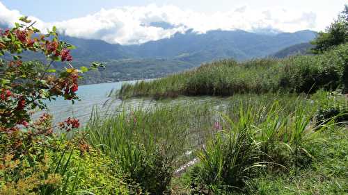 La beauté d'un lac...