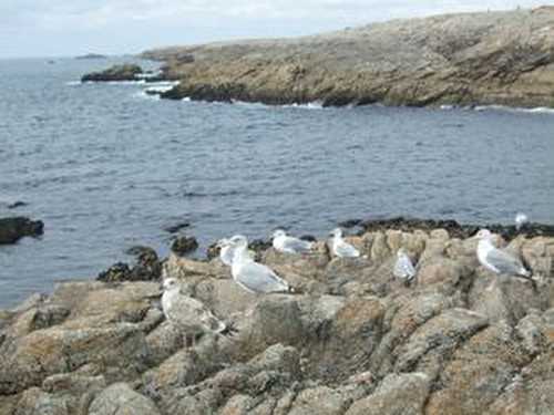 La côte si sauvage de Quiberon